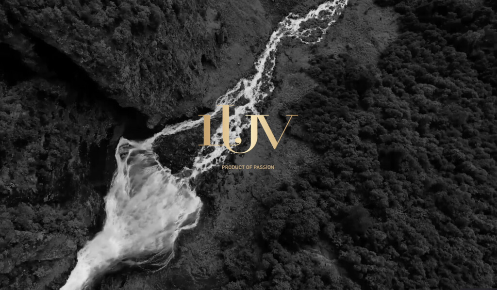 LUV Vodka Webdesign Scrollytelling Referenz
