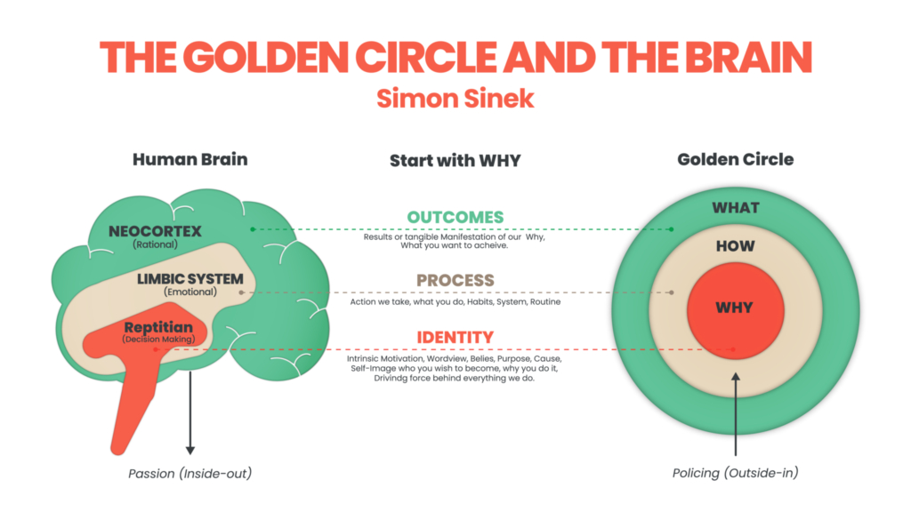 Der Goldene Kreis (The Golden Circle) ist mehr als nur eine Kommunikationsstrategie. Die Prinzipien sind in den Grundsätzen der Entscheidungsfindung eines Menschen verankert. Das heißt, der Goldene Kreis gibt perfekt wieder, wie unser Gehirn funktioniert.
Im Kopf vergleicht der Mensch Produkte miteinander, doch die Kaufentscheidung tätigen wir emotional, aus dem Bauch heraus.