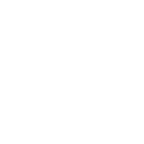 Webdesign und Entwicklung Kunden-Logo Audi