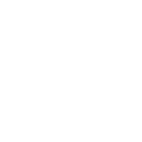Webdesign und Entwicklung Kunden-Logo Peter Schmidt Kunde und Partner