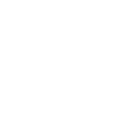Webdesign und Entwicklung Kunden-Logo Fleesensee Schloss Hotel