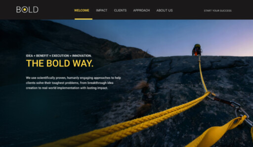 Bold Innovation neue Website Referenz von FLOW4 Webdesign- und Internetagentur Hamburg